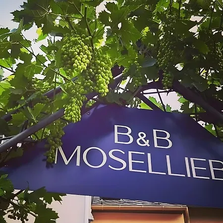Haus Moselliebe * Ediger-Eller